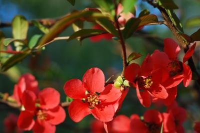 Прикрепленное изображение: Image  000 2015-05-12 - 18-40-08.jpg